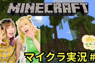 超初心者と１０年ブランクでMineCraft【ゲーム】