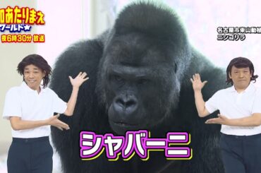 【COWCOW×あたりまえワールド】愛知あたりまえ体操フルバージョン