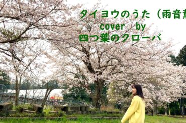 タイヨウのうた（雨音薫）（沢尻エリカ）cover四つ葉のクローバー（よっち）（よっこ）