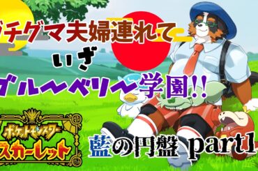 【ポケットモンスタースカーレット】ガチグマ夫婦連れて！いざブルーベリー学園！！　藍の円盤　part1