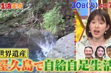 4月30日(火)よる6時30分「1泊家族 世界遺産に住む家族SP！屋久島&富士山&白川郷&宮島の仰天私生活！」