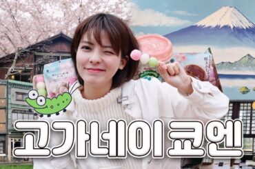 [SUB] 🌸도쿄 현지인 벚꽃 명소🌸 고가네이 공원 | 에도 도쿄 건축 정원, 봄 한정 편의점 메뉴, 도쿄 피크닉