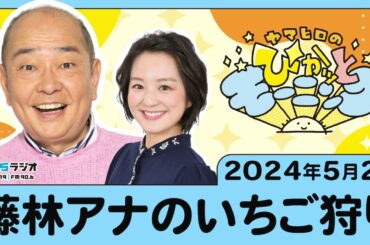 藤林アナのいちご狩り