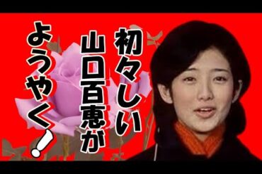 初々しい山口百恵さんがようやく出てきた。何が有ったのかドラマがが始まった。#出てきた百恵　#ドラマ赤い迷路