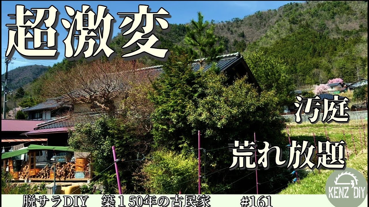 【脱サラ古民家DIY】森の様な汚庭を綺麗にしたい!数本の木を伐倒して超絶スッキリしました! No.162 【脱サラ古民家DIY】森の様な汚庭を綺麗にしたい!数本の木を伐倒して超絶スッキリしました! No.162