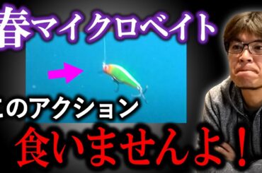 【春のマイクロベイト】※必要以上にルアーが動いているから食わない！！　村岡昌憲切り抜き