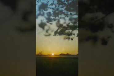 早朝さんぽ西都原公園の桜 #宮崎市 #西都原古墳群 #桜