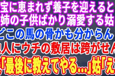 【スカッと☆総集編】身寄りのない子を施設から引き取り養子にすると義姉の子供ばかり溺愛する義母「赤の他人の子にウチの敷居は跨がせませんｗ」→夫「母さん、最後だから教えてやる…」後日、顔面蒼白の姑【修羅場
