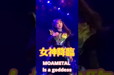【BABYMETAL】MOAMETALの女神化が止まらない【MOAMETAL's transformation into a goddess continues】  #shorts