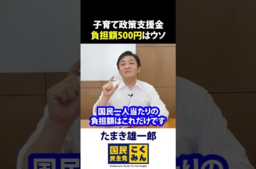 子育て支援金 負担額約500円はごまかし 玉木雄一郎