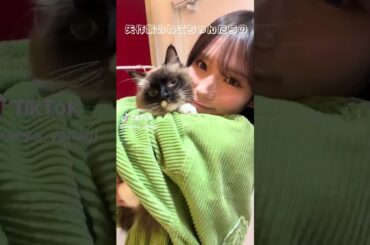 ツッコミポイント多すぎや！きてねー！！ #SPINNS #猫 #ラグドール #矢作萌夏 @すぴんず広報課🐡🫶🏻