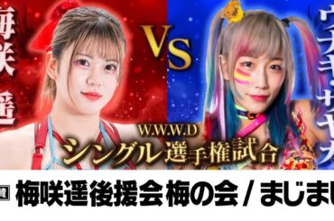 梅咲2度目の防衛戦！[王者] 梅咲遥 vs ウナギ・サヤカ [挑戦者]【W.W.W.Dシングル選手権試合】【ワールド女子プロレス・DIANA】【玉川ボールのスリーカウントは叩かせない！】
