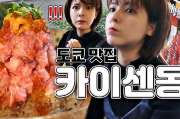[SUB] 도쿄 맛집 탐방🍱 카이센동 편 | 시부야 맛집, 해산물 덮밥