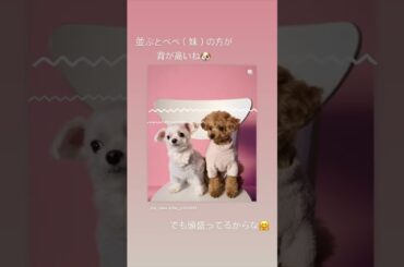 2024年4月4日～6日までのPerfume あ～ちゃんとのっちさんのインスタグラム投稿+他SNS投稿#Perfume#かしゆか#あ～ちゃん#のっち