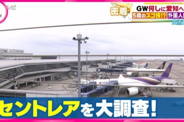 【定点観測】GW何しに愛知へ？ セントレアで大調査！