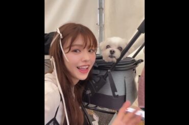 鈴木ゆうか LIFESTYLE with DOGS