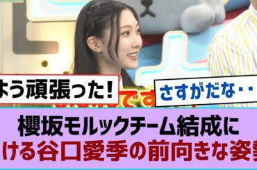 【櫻坂46】櫻坂モルックチーム結成における谷口愛季の前向きな姿勢⚪︎櫻坂46「K-STAR CHART 2024」1stシーズンAsia Star部門総合1位を獲得！【そこ曲がったら櫻坂・櫻坂46】