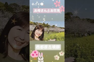 【宮崎】西都原古墳群 桜と菜の花
