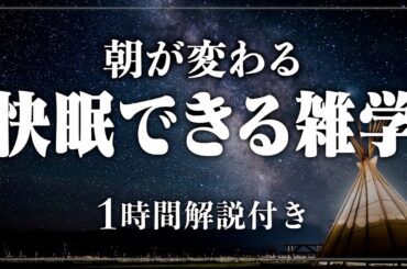 【睡眠導入/作業用】ぐっすり眠りたいあなたへ 寝落ちできる日常生活の雑学1時間 寝ながら聞けるAI音声【BGMなし】【男性朗読】