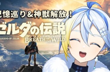 【ゼルダの伝説BotW】女装のプロ【冬野ひなた/VTuber】