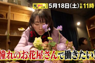 【予告】「夢の１DAYパス」5月18日（土）午前11時～