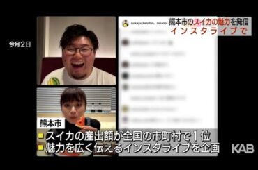 熊本の春スイカ 坂ノ上茜さんらインスタライブでPR