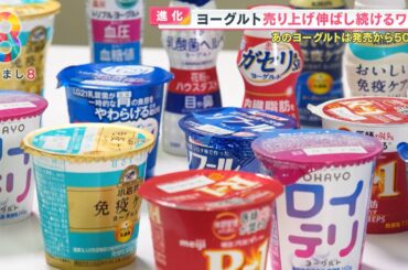 進化し続けるヨーグルト 歯科医推奨“ロイテリ菌”入りや水分を切ったグリークヨーグルトって？【めざまし８】