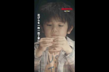 【先行公開】正義が可愛すぎる🌹 #街並み照らすヤツら #第3話 #森本慎太郎 #森川葵 #吉川愛 #shorts