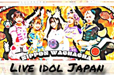 Nippon Wachacha / live idol Japan 😍 ( にっぽんワチャチャ )