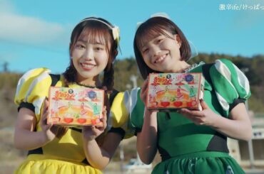 福島中央テレビで放映中