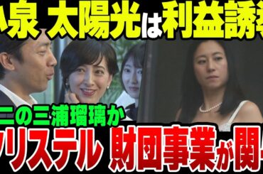 小泉環境大臣の対横パネルごり押し、奥さんの滝川クリステル財団の利権に思いっきり絡んでいた模様【ゆっくり解説】