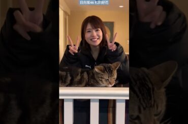 松田好花 写真集発売まであと22日！ニャンコも思わず振り向いちゃう可愛さ♪ 写真集『振り向いて』5月28日発売