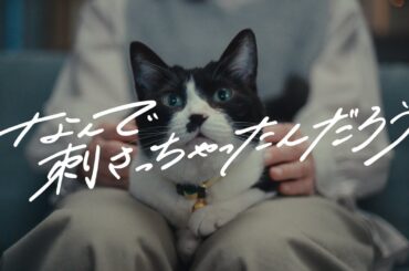 クラフトボス『あの子と私と、ソイとエスプレッソ』篇 4分27秒 杉咲花 カナメストーン サントリー