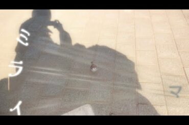 往路ふQろう『ミライマ』MUSIC VIDEO【第4世界　横浜光年 編】Music No.4-0001