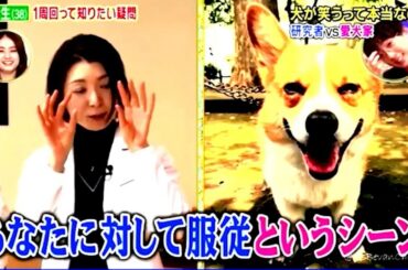【1周回って知らない話 】長友佑都、平愛梨 。２人はどのようにして出会い、愛を育んでいったのか？ PART 2 4 1