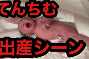 【てんちむ出産シーン】てんちむの子供の父親判明しました。教えます。【てんちむCH】【てんちむ】