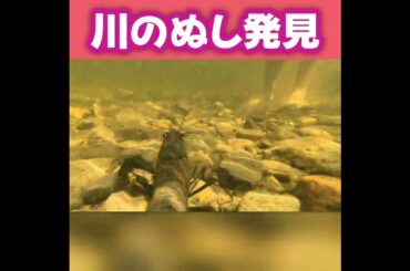 川のぬしを捕まえろ