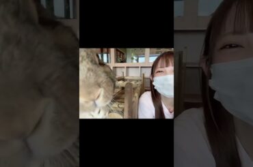 大きなウサギさんいたwww