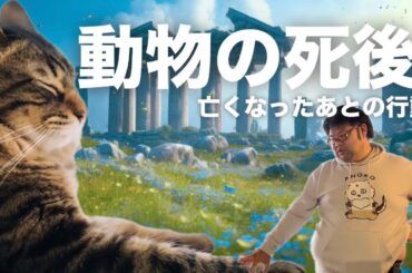 【動物】は成仏したらお盆に戻ってくる？