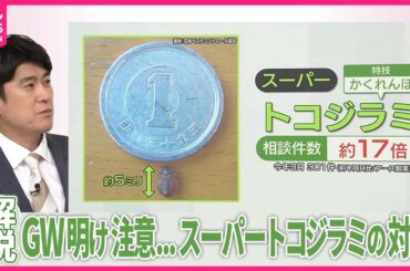 【GW明け、あなたの部屋にも】「スーパートコジラミ」が？ 1000倍以上の抵抗性 医師が伝授する対処法…“寝たふり作戦”とは