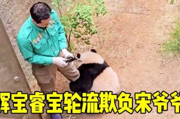 辉宝体重领先睿宝十斤，本以为会欺负睿宝，没想姐妹俩目标是宋爷爷！【牧场时间】