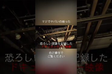 マジでヤバいの映った。自己責任でご覧ください。6月21日（金）『新・三茶のポルターガイスト』 ＃心霊現象 ＃ポルターガイスト#海老野心＃石川 翔鈴