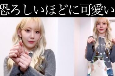 【LE SSERAFIM】宮脇咲良×猫ミームで世界に猫パンチ・・