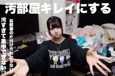 【片付け・断捨離？】汚部屋綺麗に掃除してみた/ほのぼの編集【のえのん】