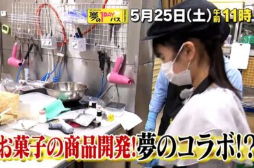 【予告】「夢の１DAYパス」5月25日（土）午前11時～