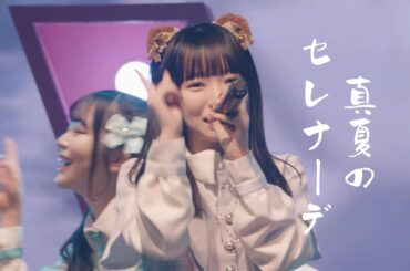 【中日雙語字幕】アキシブproject「真夏のセレナーデ（盛夏小夜曲）」【LIVE映像】【新体制】【2024白色情人節特別衣裝】【4K】