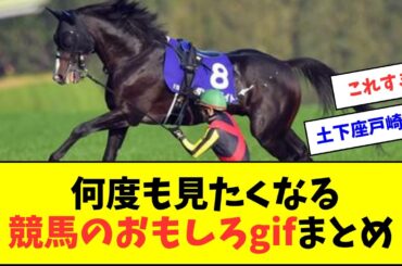 何度も見たくなる競馬のおもしろgifまとめ【反応集】