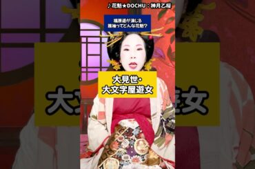 福原遥ちゃんが演じる『誰袖』って誰？#歴史 #江戸 #江戸時代 #花魁