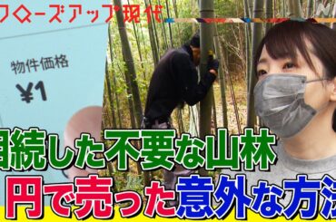 「ただ絶望」”いらない土地”を相続し苦悩する人が急増 放置で土砂崩れのリスクも  “所有者不明土地”を増やさないために相続した女性がした選択とは(語り:小松未可子)【クロ現】| NHK