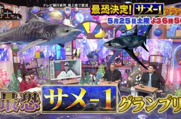 5月25日（土）サンドウィッチマン＆芦田愛菜の博士ちゃん　サメ大好き博士ちゃんが“最恐のサメ”を熱血授業！